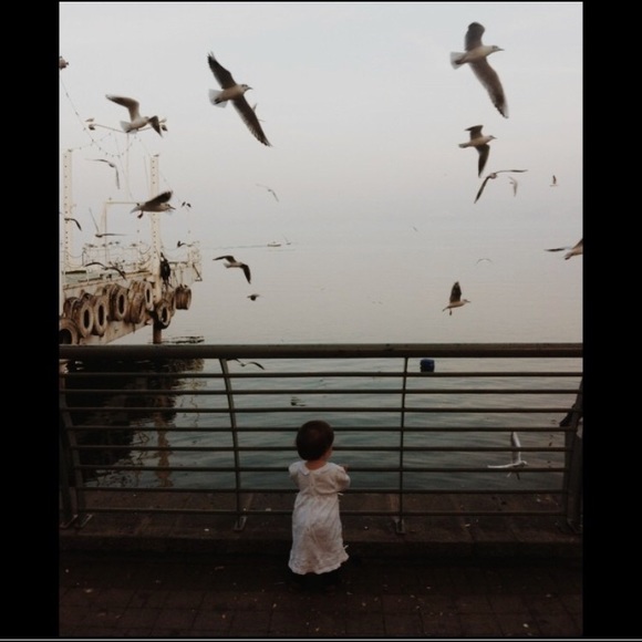 • welcome • - Picture 1 of 1